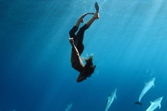 private-snorkel-tour-3-hrs-1-stop-from-kaanapali-beach