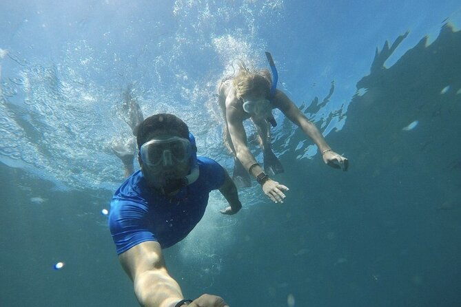 private-snorkeling-tour