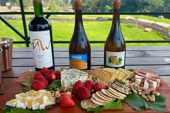 private-tour-at-maturana-wines-and-vik-winery-with-lunch
