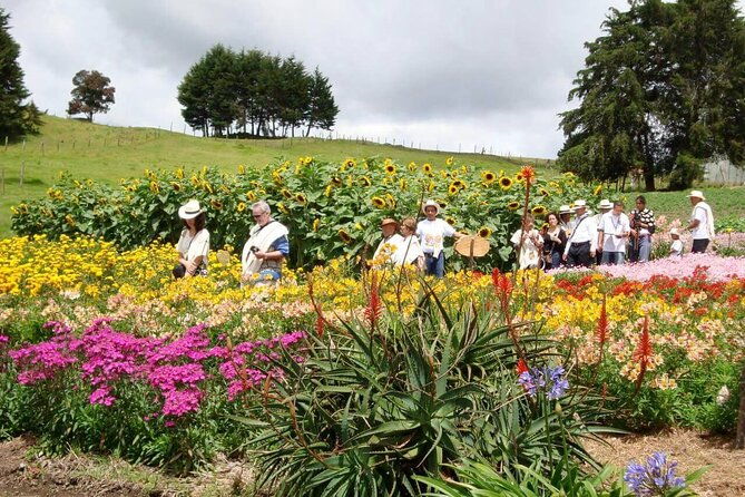 private-tour-heart-fair-flowers-adventure-park-flower-farm
