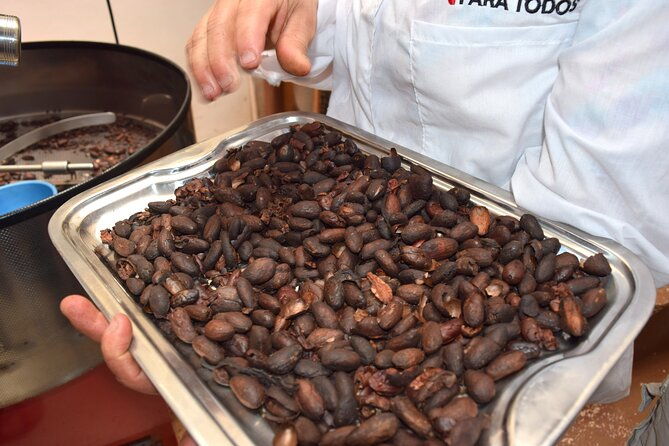 private-tour-peacebuilding-in-antioquia-from-coca-fields-to-cocoa