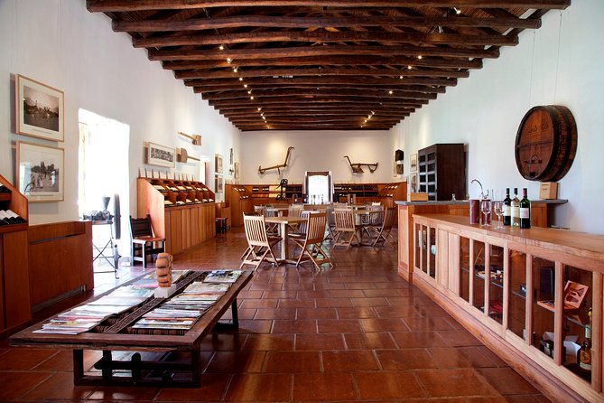 private-tour-santa-rita-vineyard-with-wine-tastings