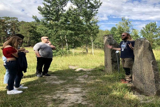 private-tour-swedish-iron-age-excursion-from-stockholm-3h