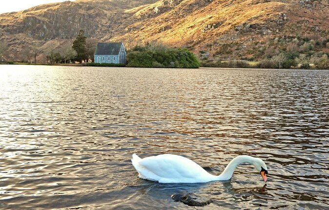 private-tour-to-gougane-barra-and-glengarriff