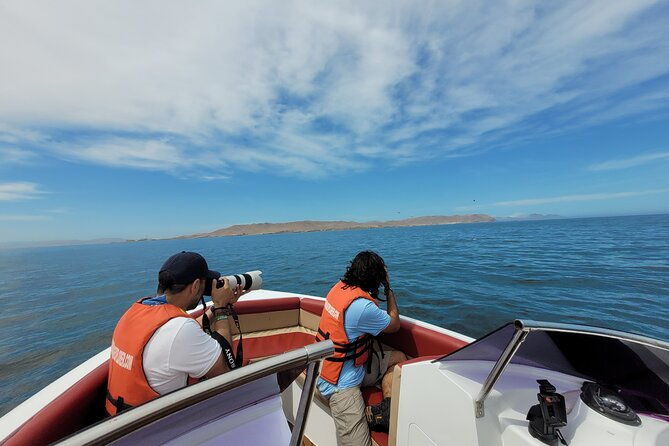 private-tour-to-the-ballestas-islands