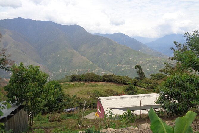private-tour-to-the-yungas-coroico-the-death-route-from-la-paz