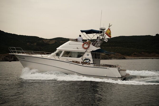 private-tour-with-dolphin-watching-in-algeciras-bay