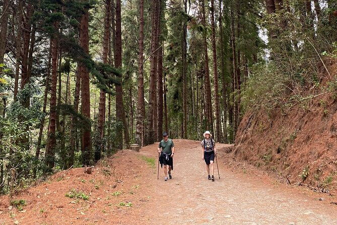 private-tour-with-guide-in-salento-and-cocora-valley-with-lunch