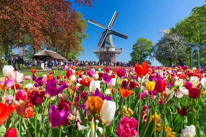 private-transfer-from-brussels-to-amsterdam