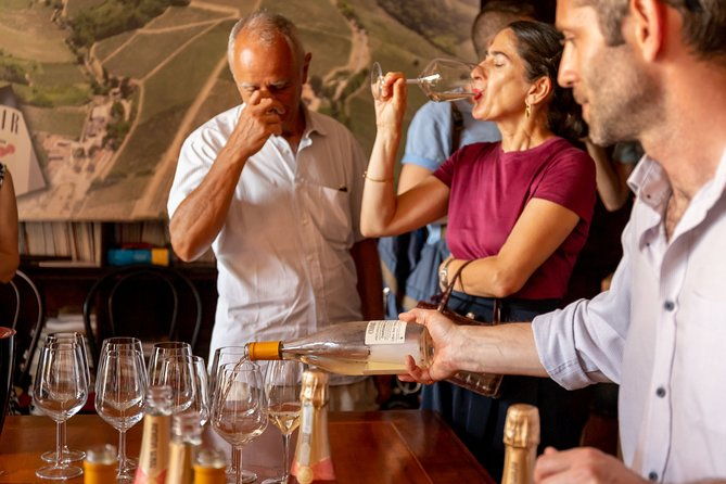private-visit-to-vineyards-and-cellars-with-tasting-in-pavia