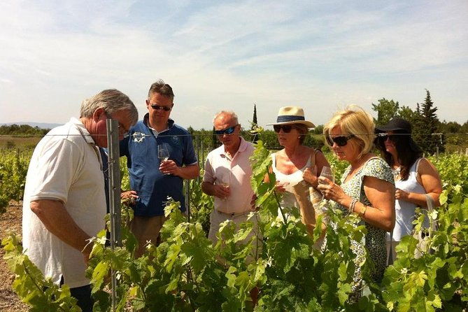 private-wine-day-tour-from-carcassonne-and-around