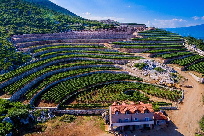 private-wine-tasting-activity-at-lipovac-winery