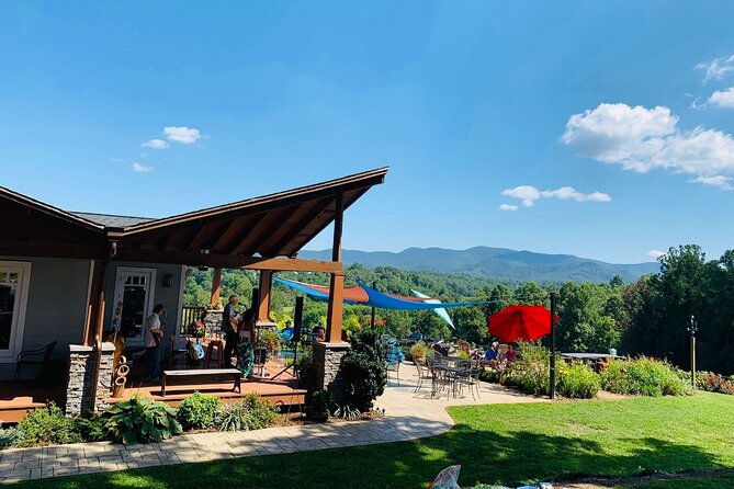 private-wine-tour-with-dine-in-black-mountain-from-asheville
