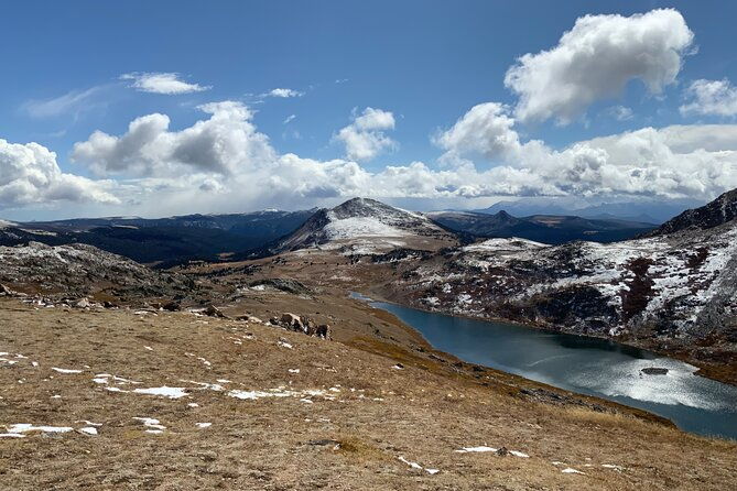 private-yellowstone-wildlife-and-photo-tours-west-yellowstone