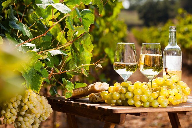 provencal-market-and-wine-tasting-sightseeing-tour