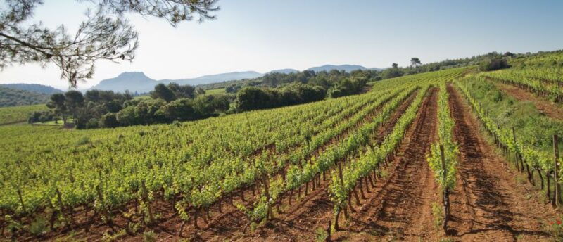 provence-wine-tour-private-tour-from-nice
