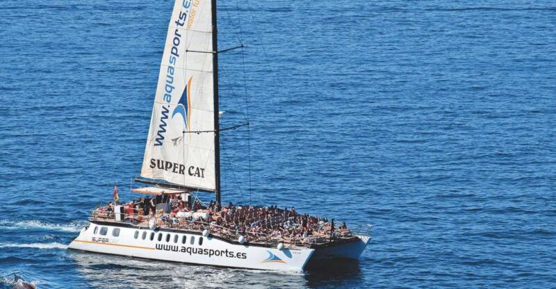 puerto-rico-2-hour-dolphin-catamaran-excursion