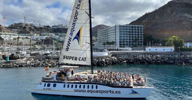 puerto-rico-de-gran-canaria-premium-dolphin-catamaran-tour