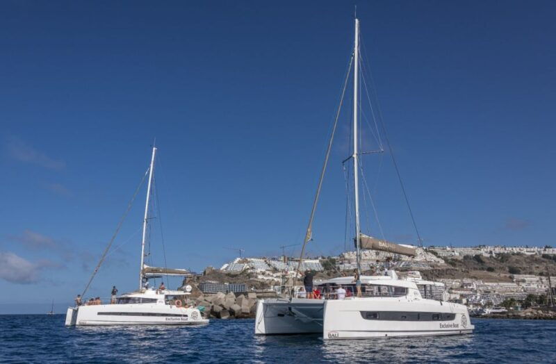 puerto-rico-de-gran-canaria-private-catamaran-charter