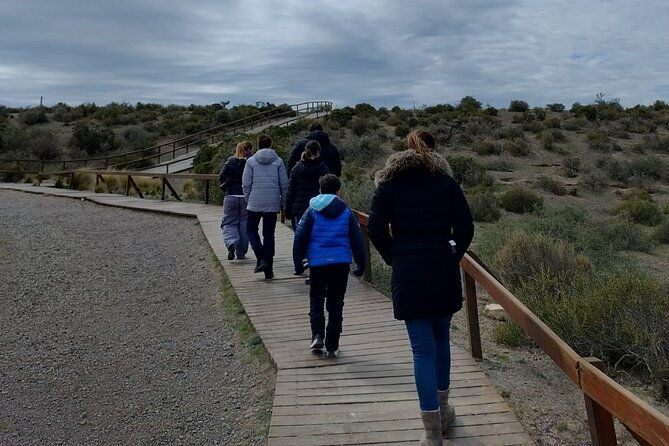 punta-tombo-for-cruises-walk-among-penguins
