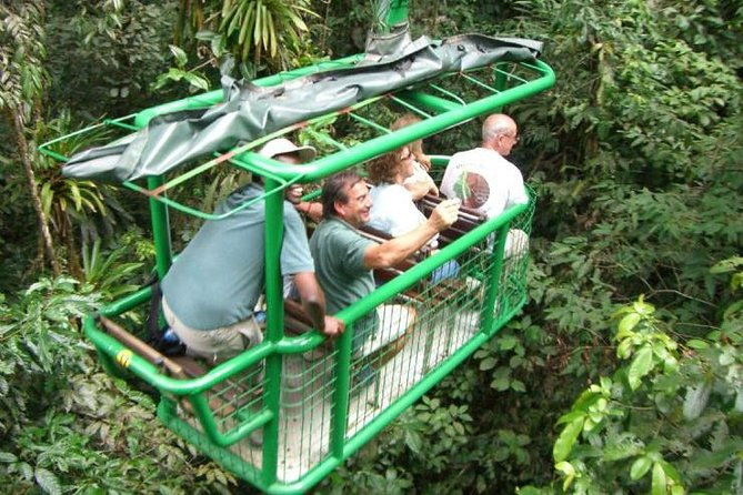 rainforest-aerial-tram