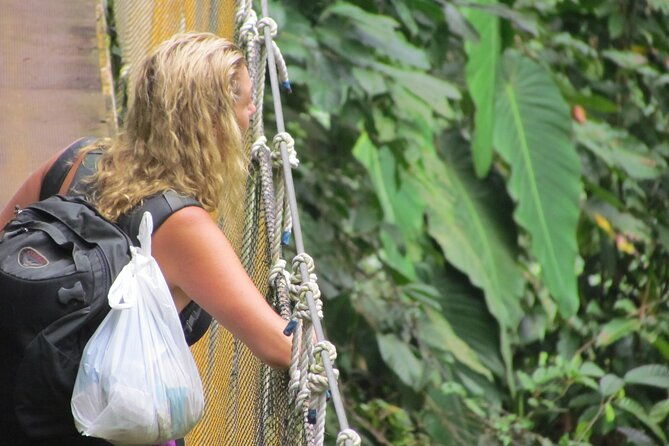 rainmaker-hike-and-hanging-bridges