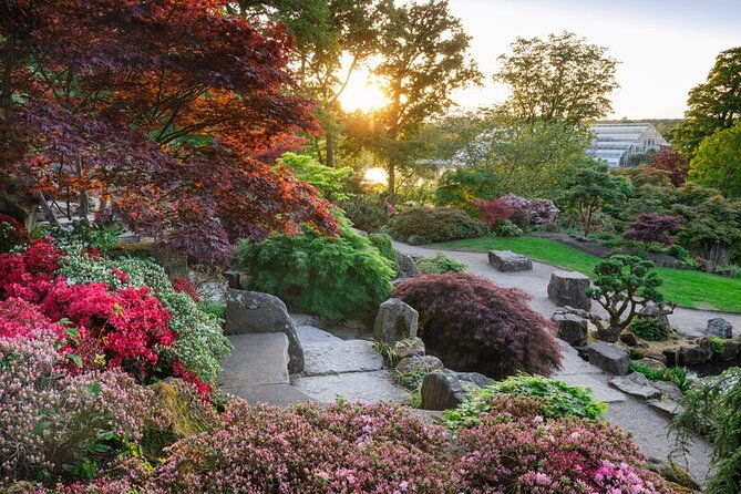 rhs-garden-wisley-and-tea-in-the-garden-entry-ticket