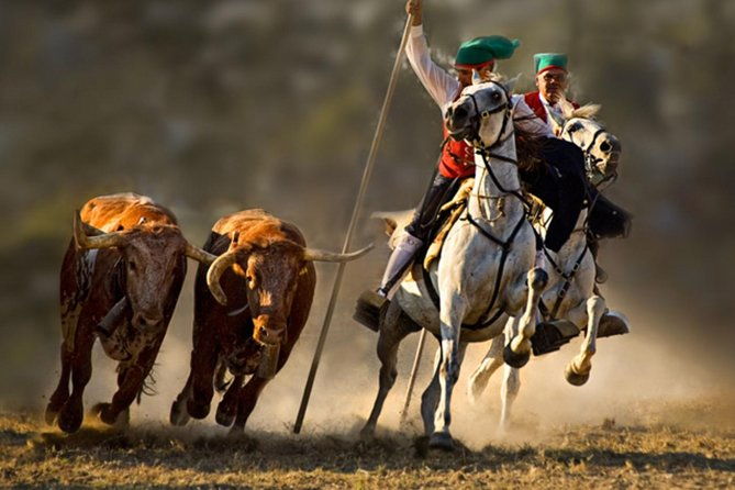 ribatejo-all-included-one-day-trip-in-salvaterra-de-magos-and-escaroupim-tour