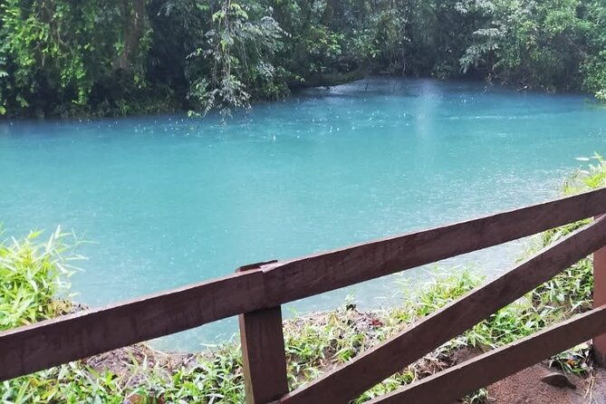 rio-celeste-hike-sloths-wildlife-watching-combo