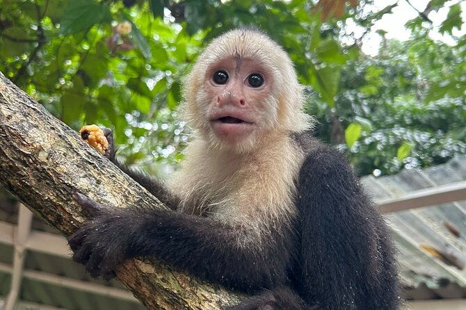 roatan-eco-caribbean-culture-park-and-beach
