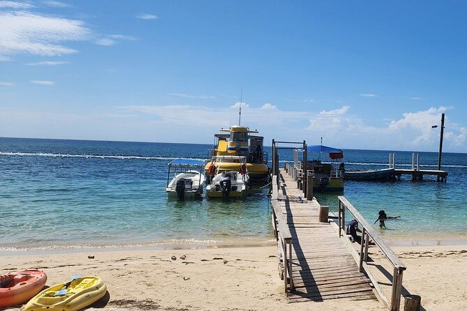 roatan-tour-with-horseback-ride-sloth-park-and-glass-bottom-boat