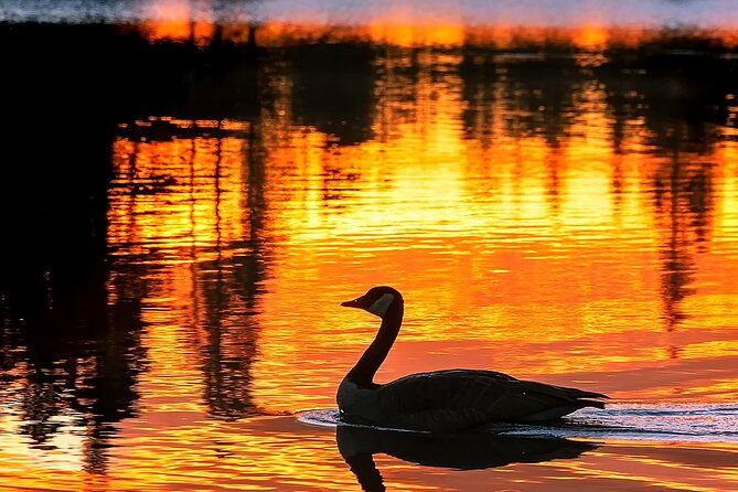 rocky-mountain-national-park-sunrise-hiking-tour