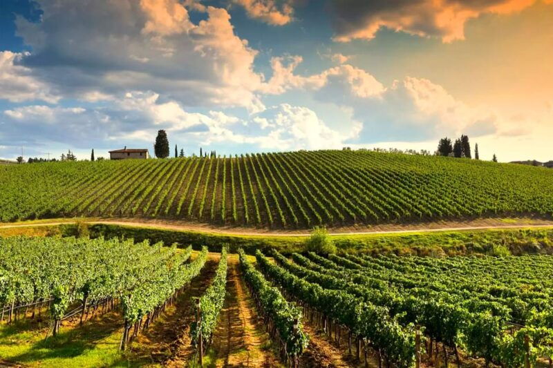 romantic-escape-in-tuscany-with-overnight-and-wine-tasting