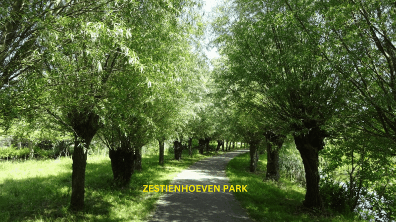 rotterdam-countryside-on-the-wheels-bike-tour-around-city