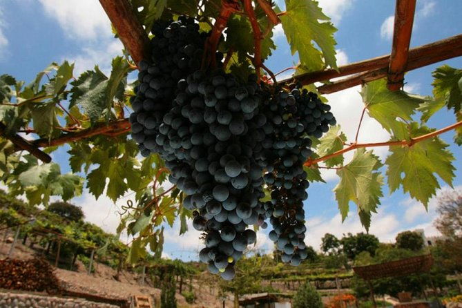 route-of-pisco-toro-muerto-and-querulpa