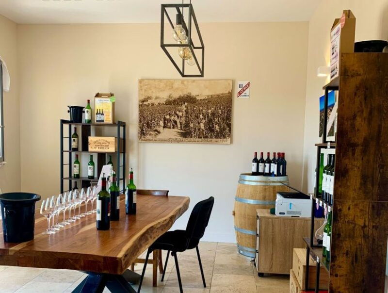 saint-emilion-bordeaux-vineyard-tour-and-wine-tasting