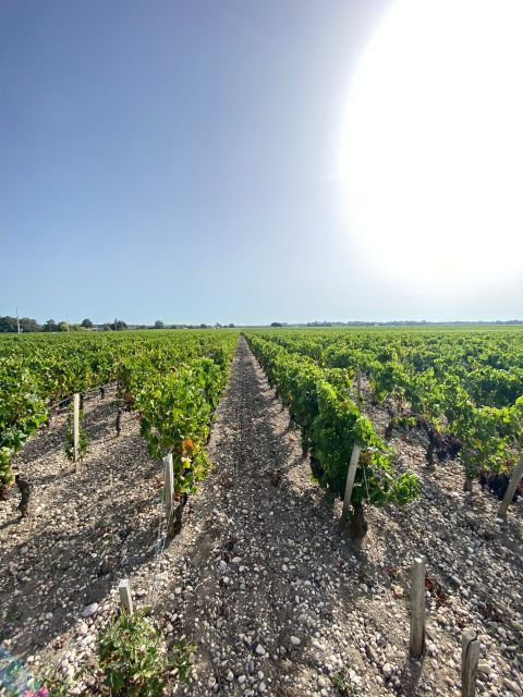 saint-emilion-village-visiting-chateaux-wine-tasting