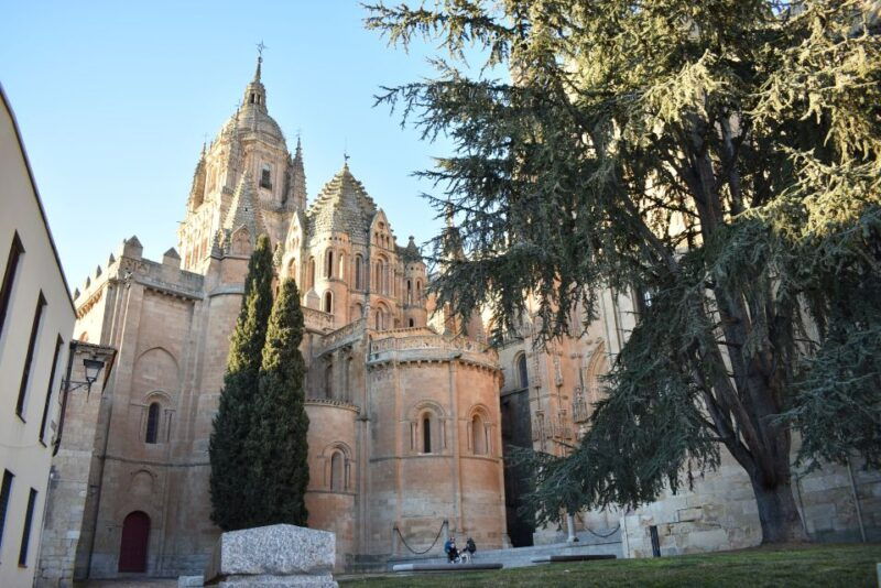 salamanca-private-sightseeing-cultural-walking-tour