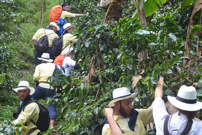 salentina-immersion-in-the-pcc-coffee-cultural-landscape