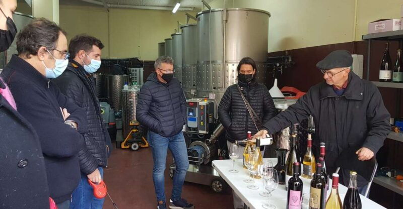 salou-priorat-tasting-wine-cellar-tour-with-hotel-pickup
