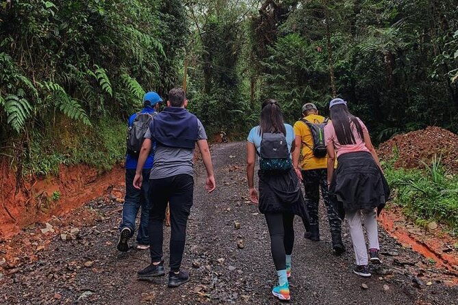 san-antonio-rain-forest-cali-private-tour