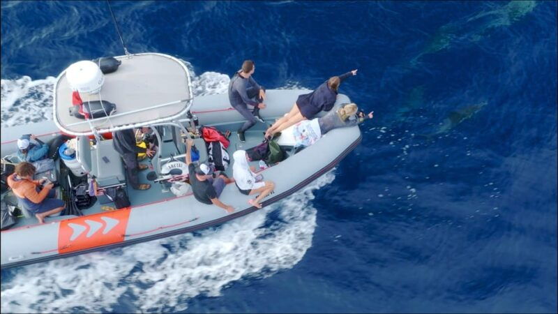 san-diego-ocean-safari-6-hour-snorkel-adventure