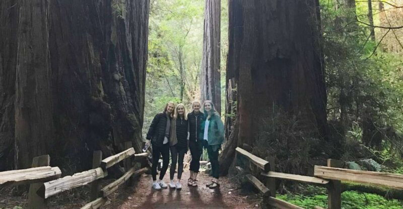 san-francisco-tour-to-muir-woods-giant-redwoods-sausalito