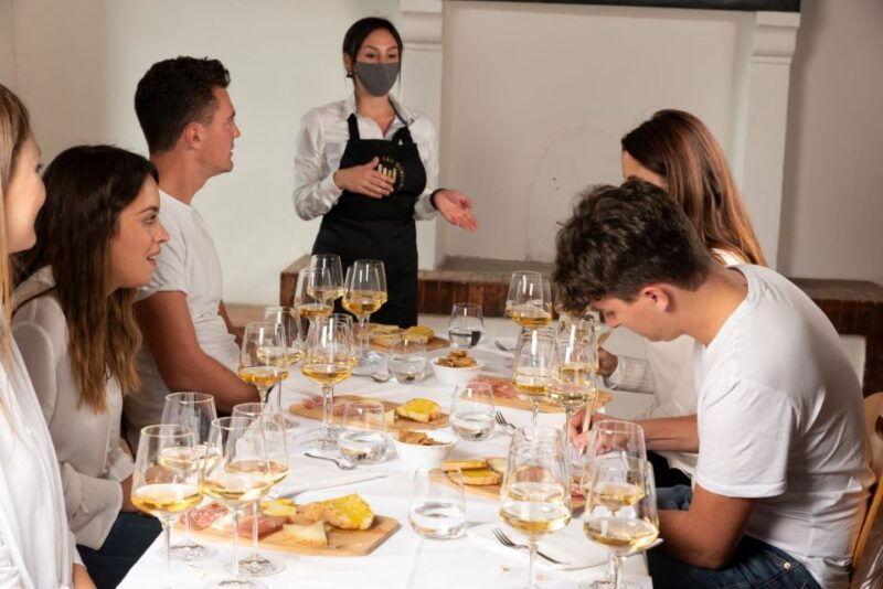 san-gimignano-professional-wine-tasting-experience