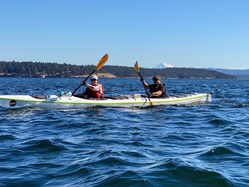 san-juan-island-full-day-kayaking-tour-with-lunch