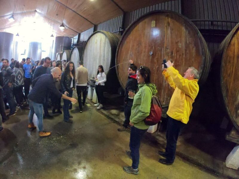 san-sebastian-unique-and-fun-basque-cider-culture-tour