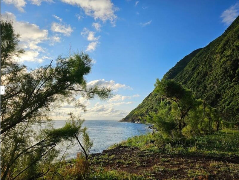 sao-jorge-island-forest-reserve-fajas-guided-tour