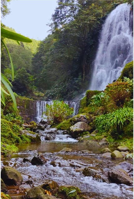 sao-miguel-majestic-north-tour-waterfalls-with-lunch