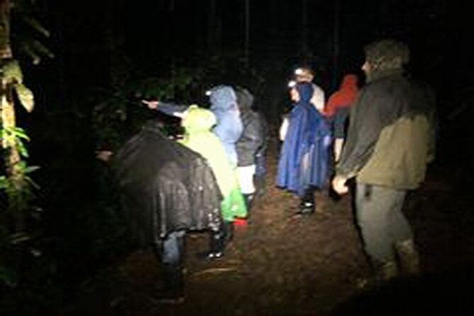 sarapiqui-frog-tour
