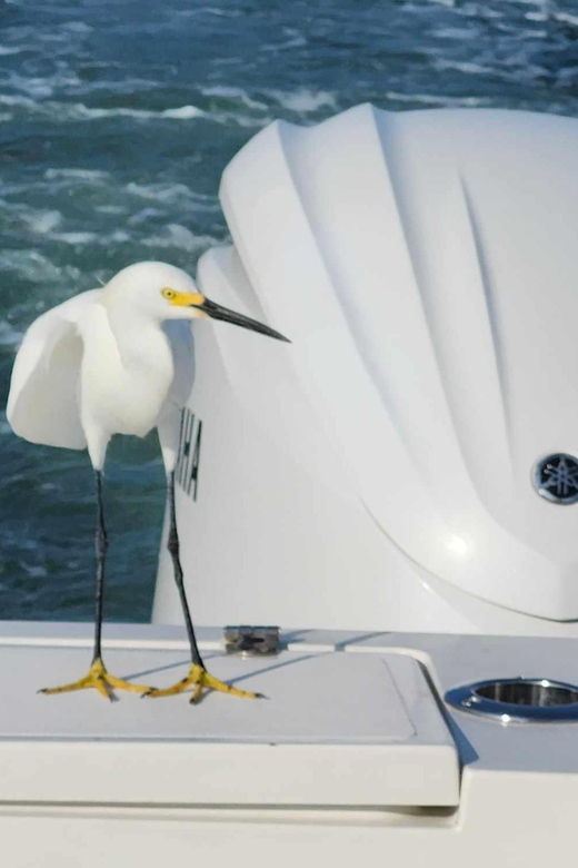 sarasota-sunset-charter
